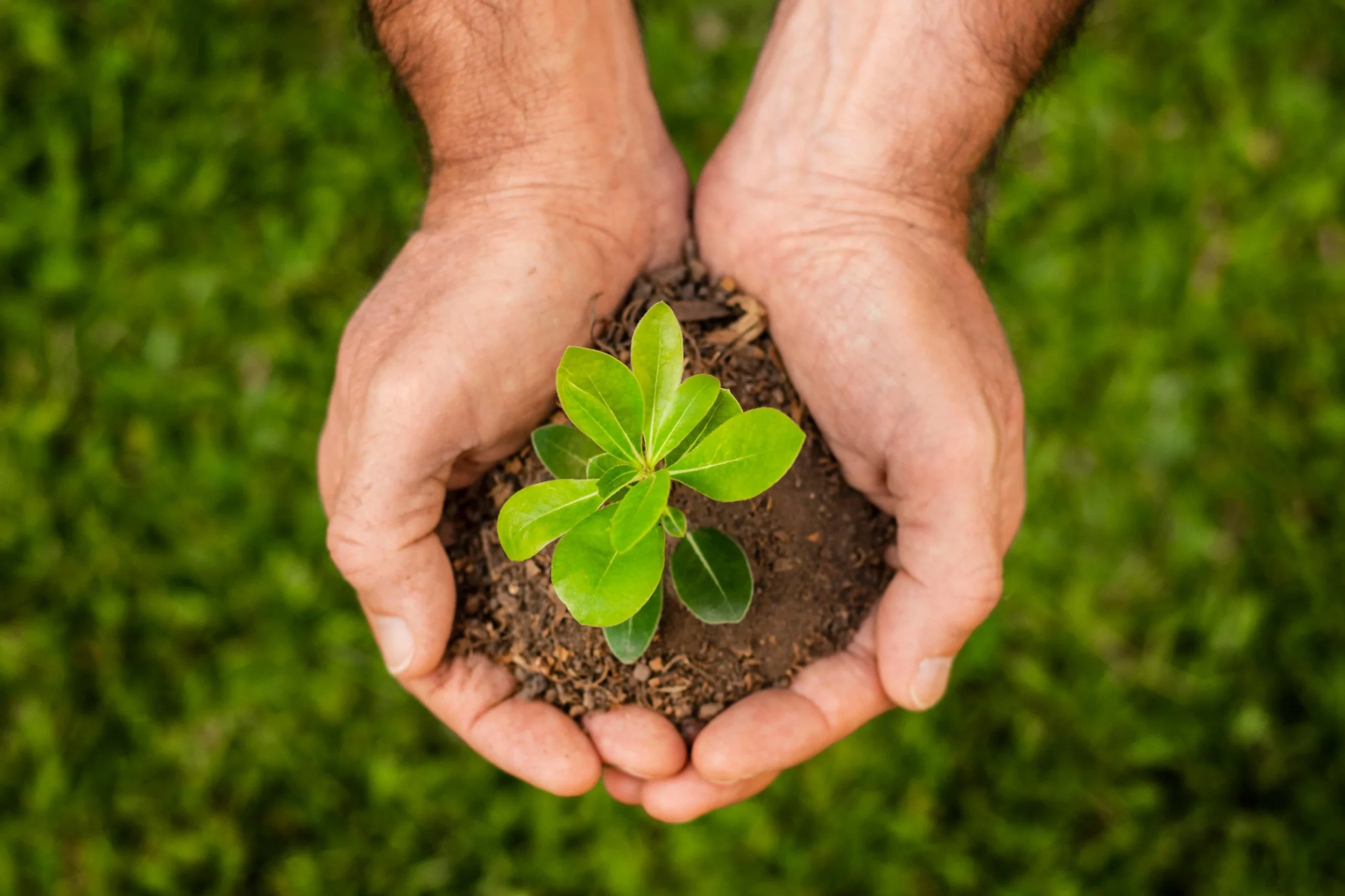 sustainablity